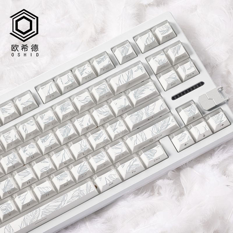 Federmuster 97 Tastenkappen Ch – Gaming Keyboard Tkl Bewertung und Preis