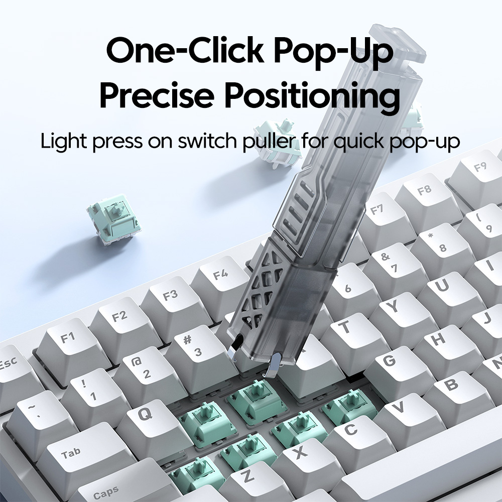 2-in-1 Tastatur-Tastenkappen-  – Switch Opener Tool Bewertung und Preis