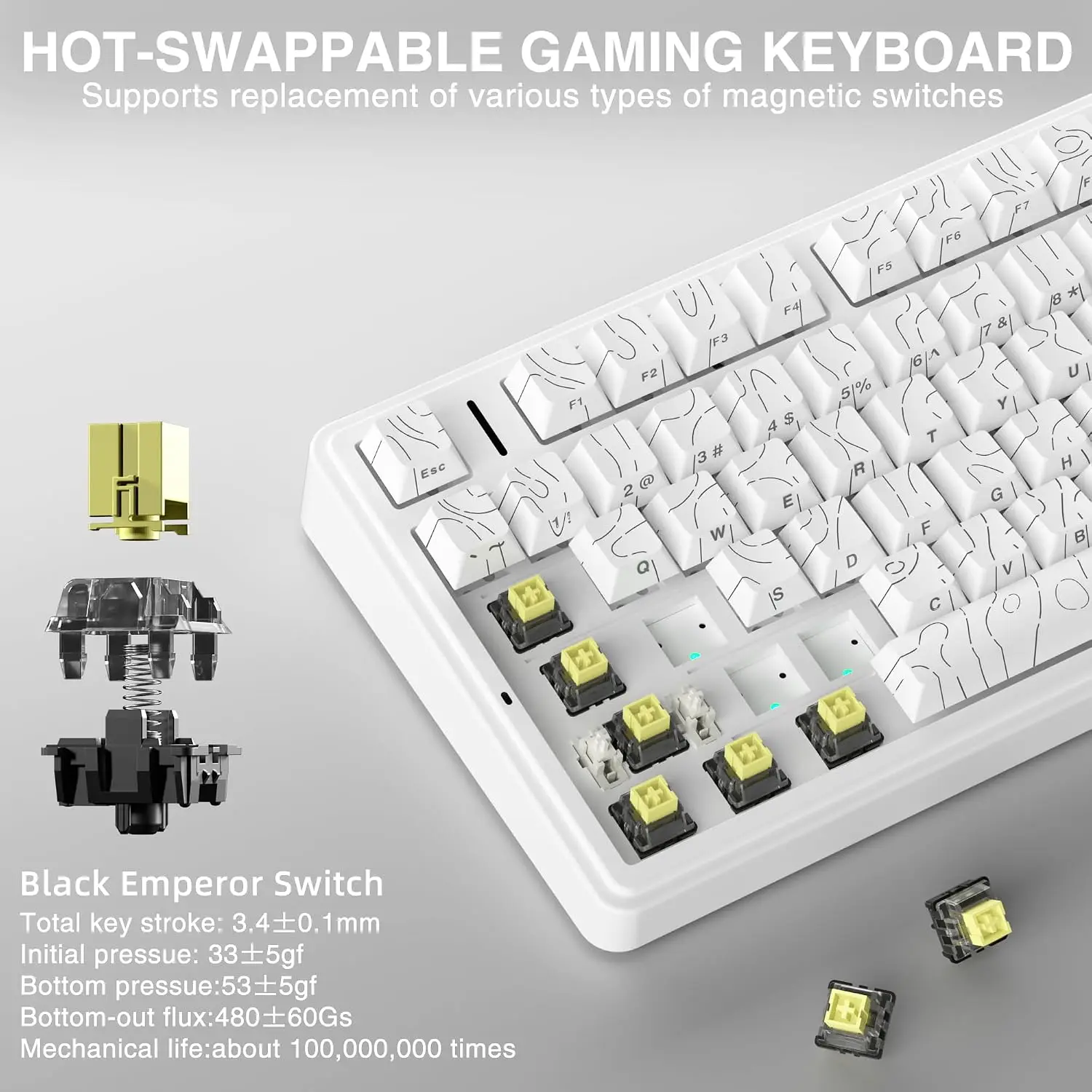 AULA F75 HE Magnetische Tastat – Gaming Keyboard Mechanical Wireless Bewertung und Preis