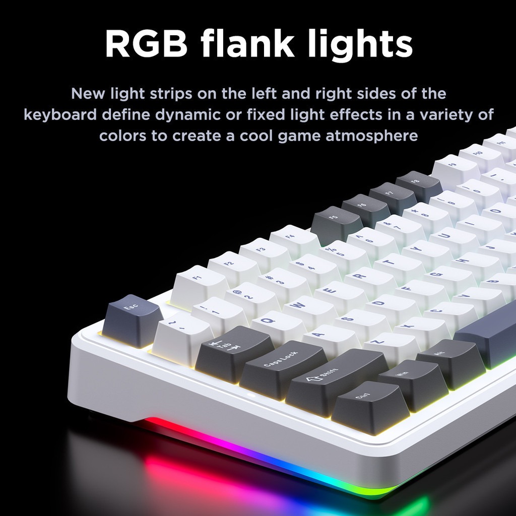Aula F87 Pro Mechanische Tasta – Gaming Keyboard Tkl Bewertung und Preis