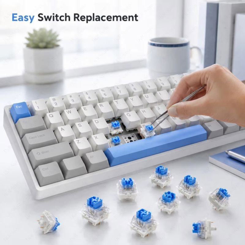 DT21 100 Stück DIY Mechanische – Keyboard Gaming Blue Switch Bewertung und Preis